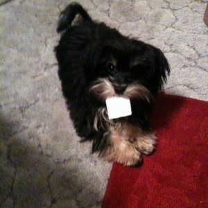 Meet your Posher, Mark